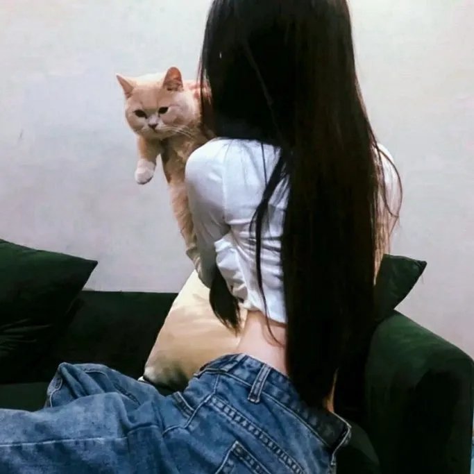 剧情好片